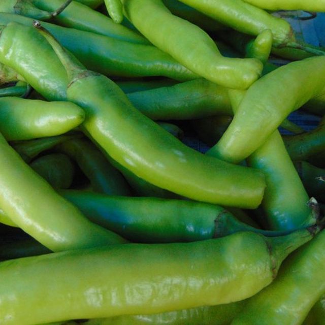 Green Chilli