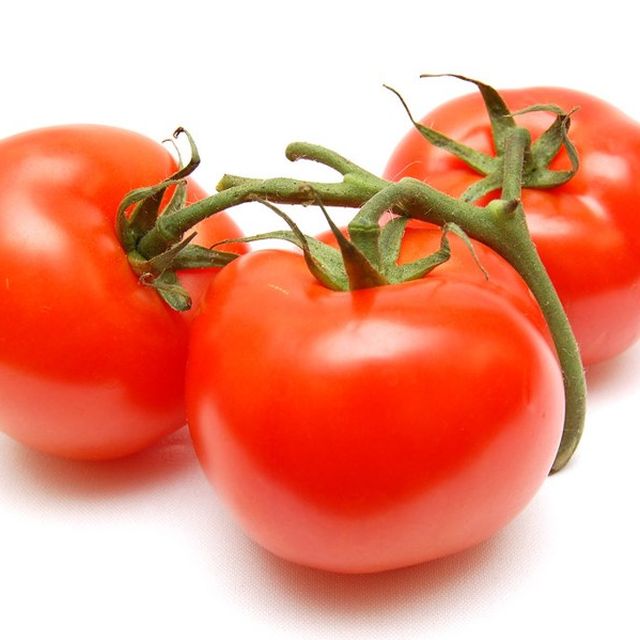 Tomato Hybrid