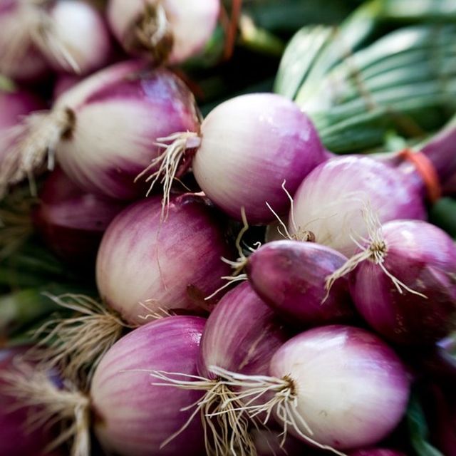 Onion