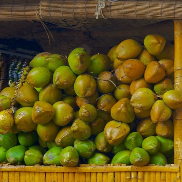 Coconut Water