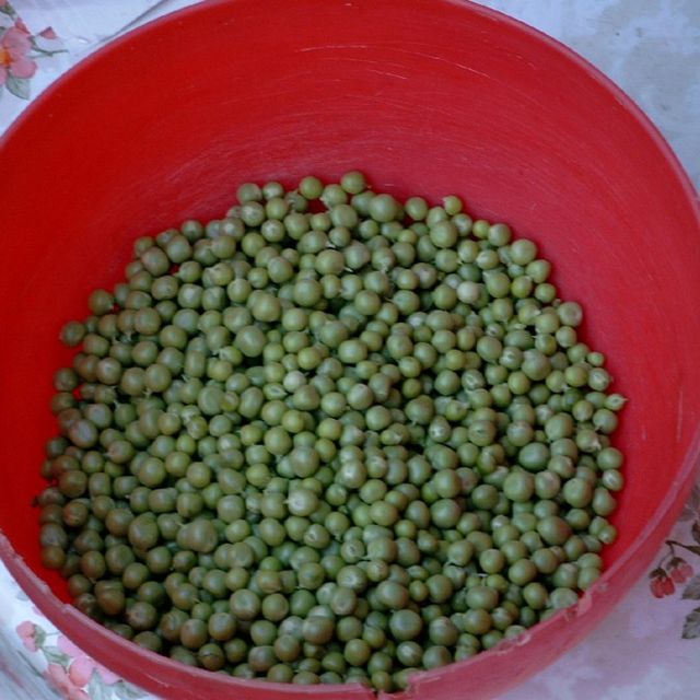 Frozen Peas
