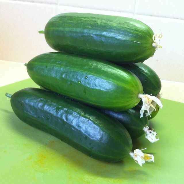 Cucumber
