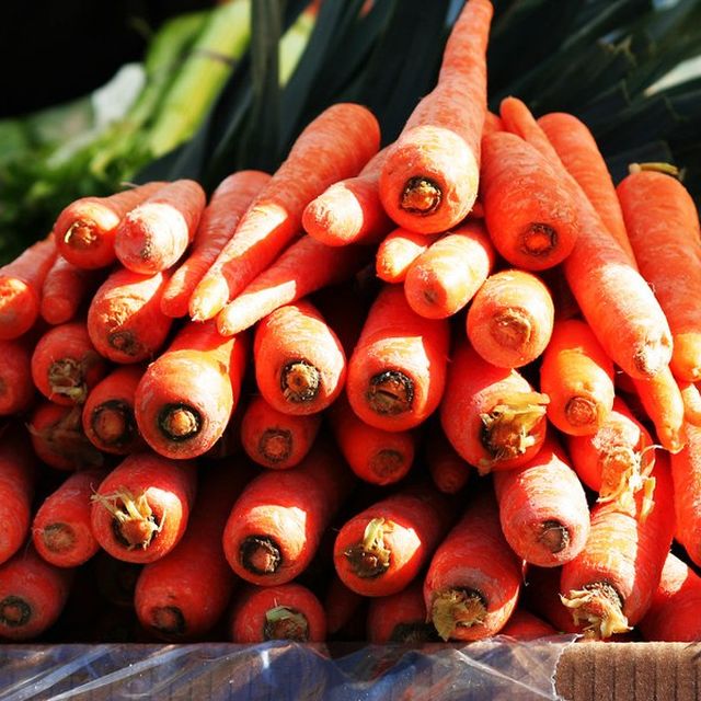 Carrot Ooty